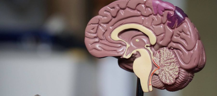 Want to improve brain health?